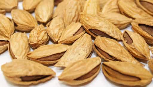 تصویر 4 از بادام درختی پوست کاغذی منقا ارگانیک باغی ممتاز